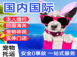 宁远机场空运国际宠物托运 【国